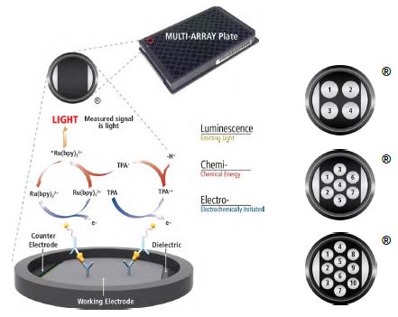 Electrochemiluminescence Technology